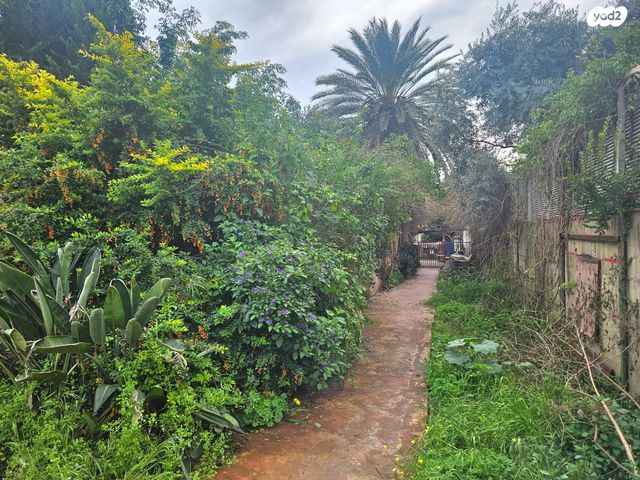 בית פרטי/ קוטג', גבעת אוויה, יהוד מונוסון