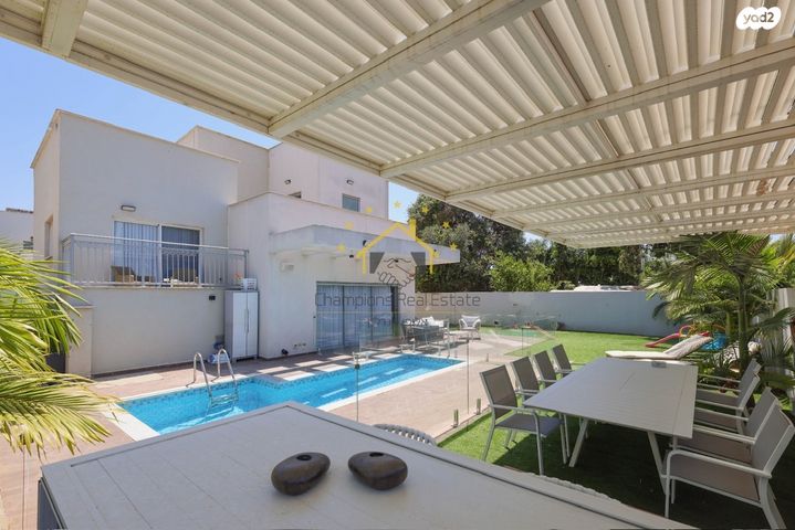 דוד וולפסון 