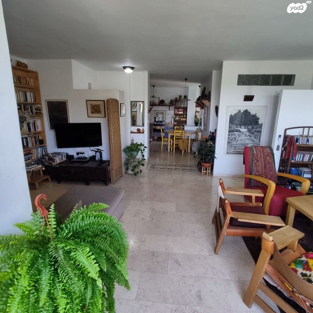 דירה, דוד אלרואי, קטמון הישנה, ירושלים