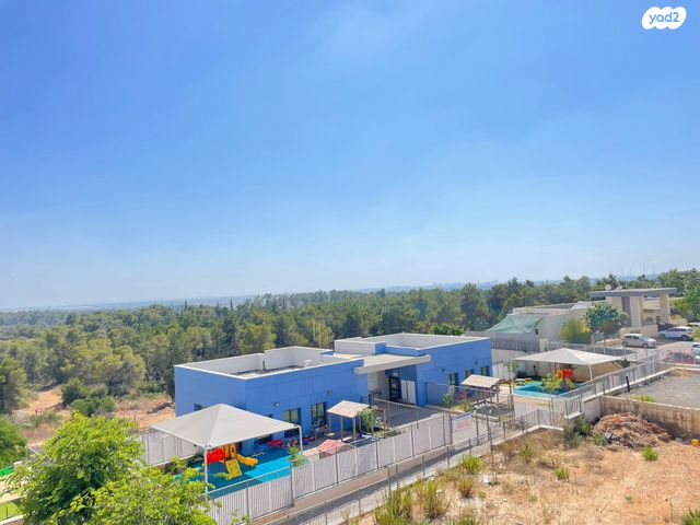רימון 15