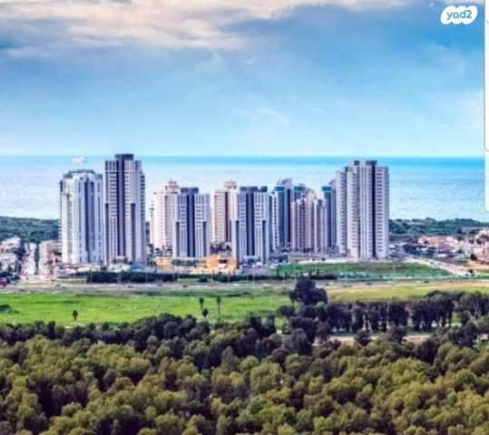 ארזי הלבנון 18