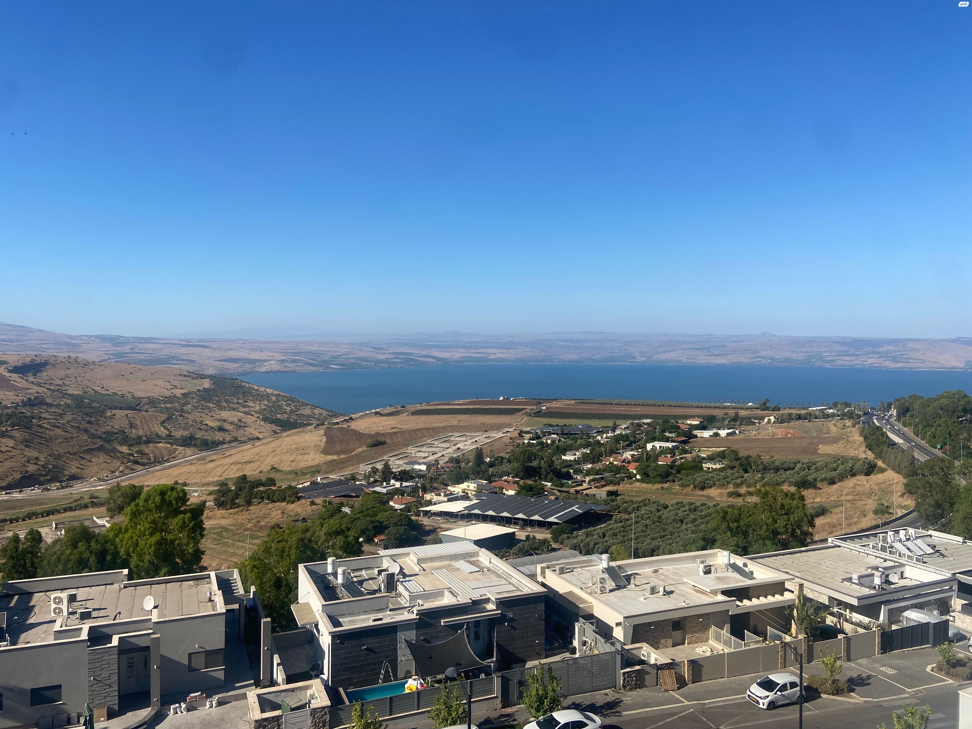האקליפטוס 
