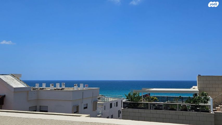 ז'בוטינסקי 45