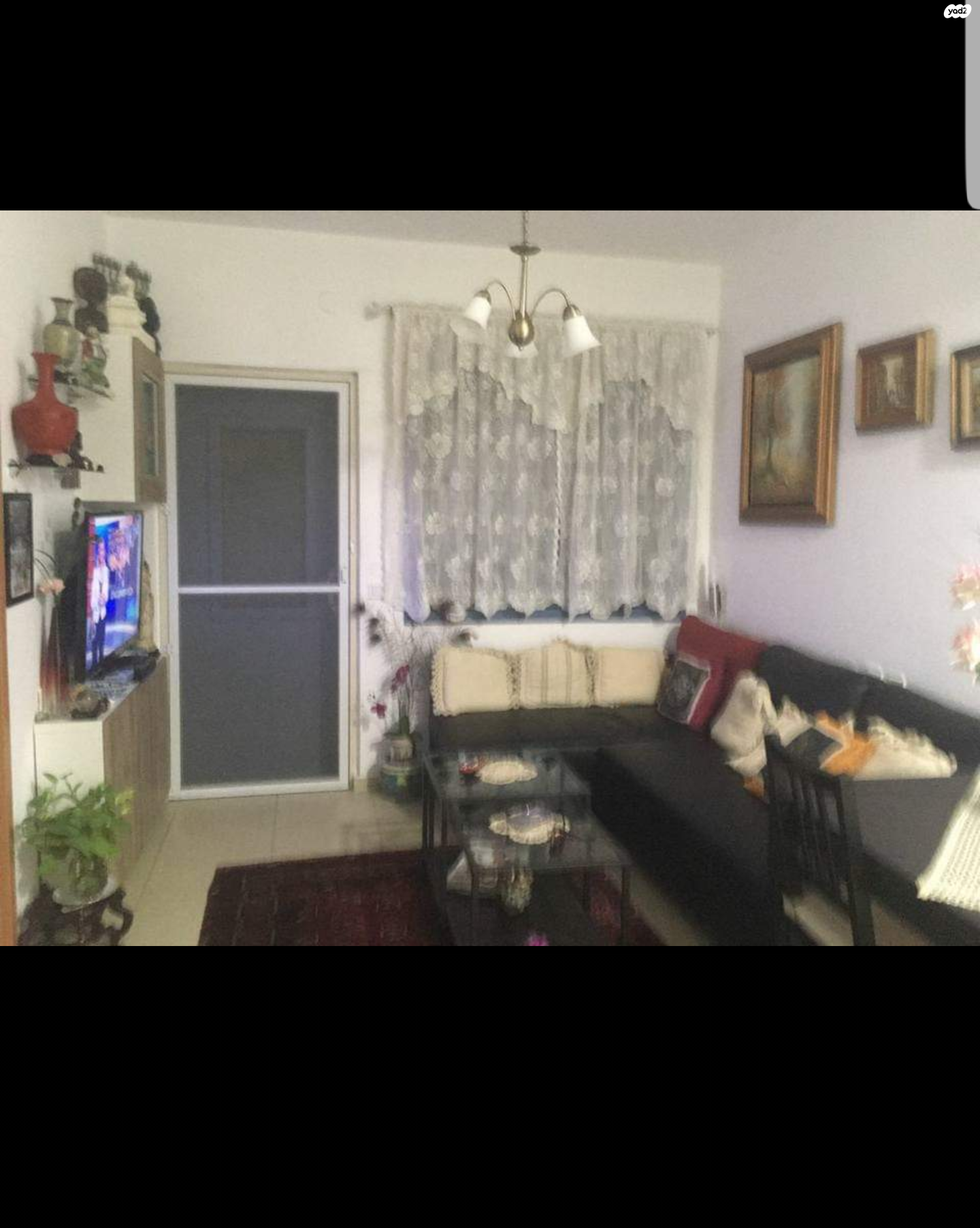 הכרמל 