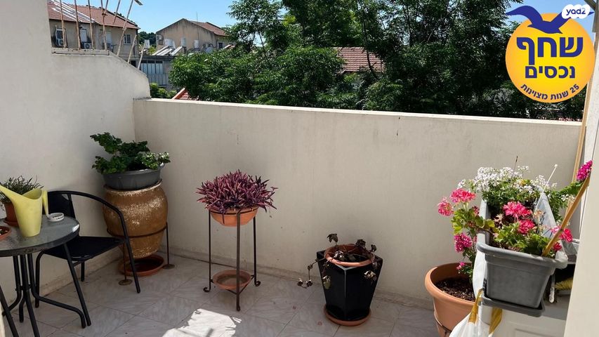 דופלקס, שלמה המלך, יוספטל, כפר סבא