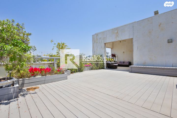 גג/ פנטהאוז, הדר, רמת השרון