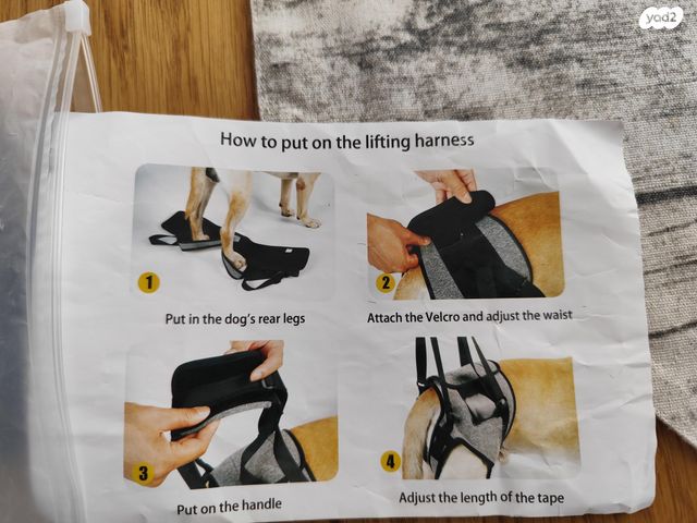 תמונת מודעה - חיות מחמד