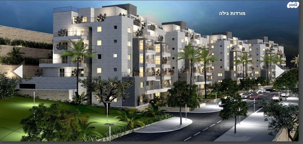 אבנר חי שאקי 