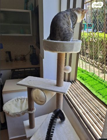 אביזרים | משחקים וצעצועים