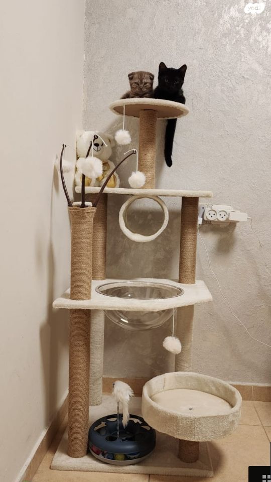 אביזרים | משחקים וצעצועים