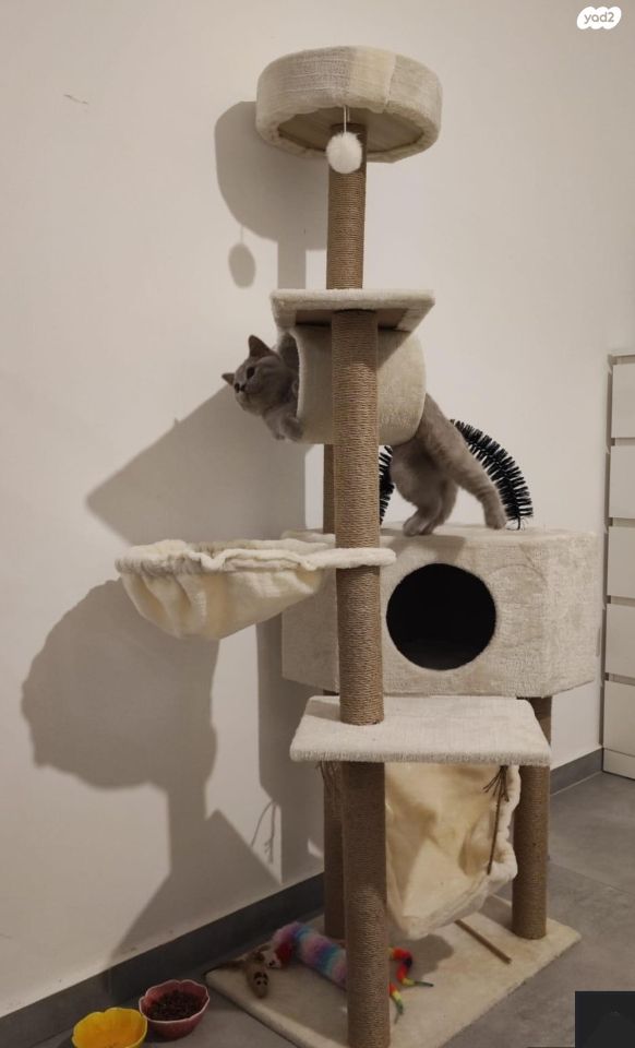 אביזרים | משחקים וצעצועים