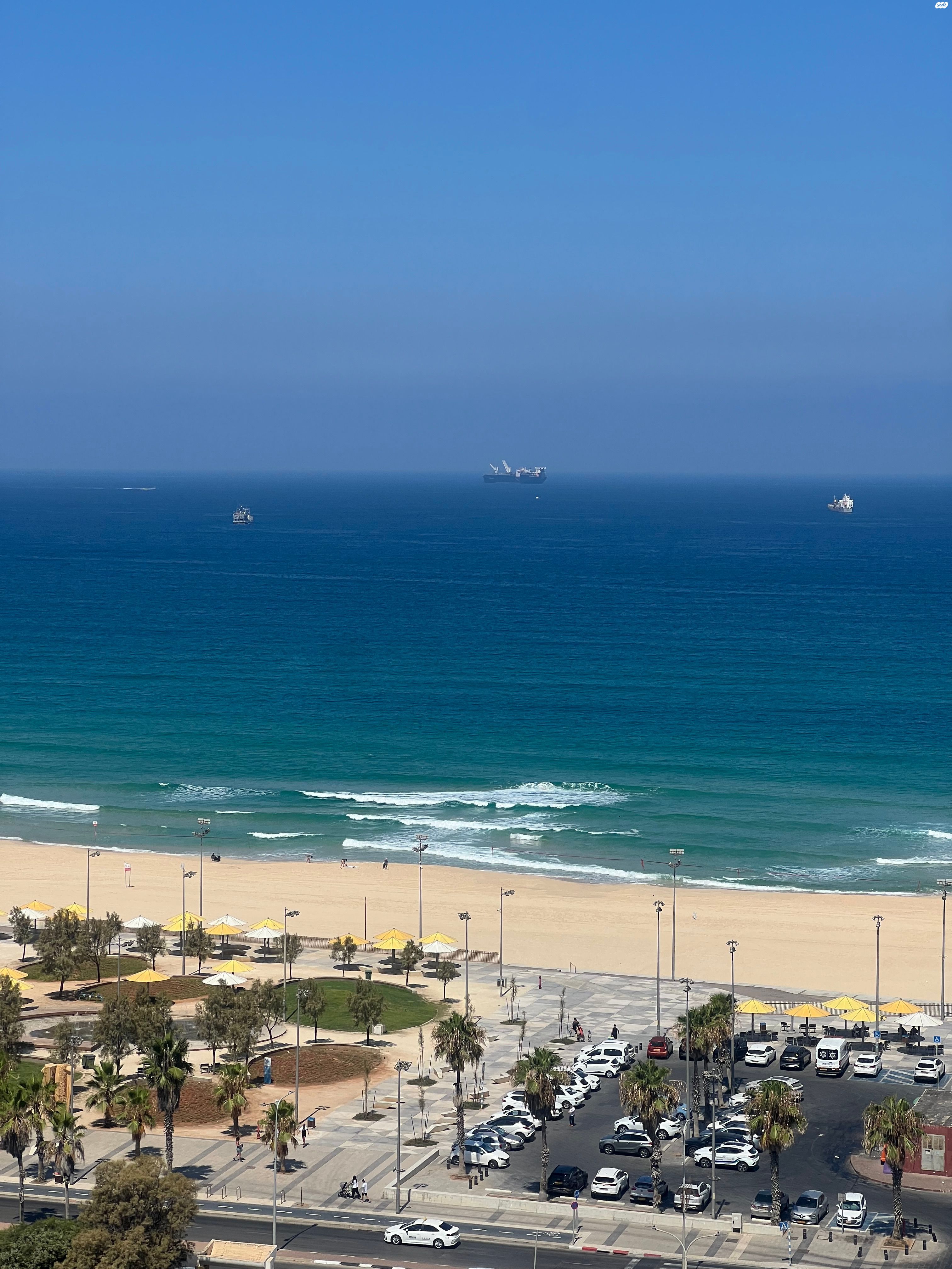 מקס נורדאו 