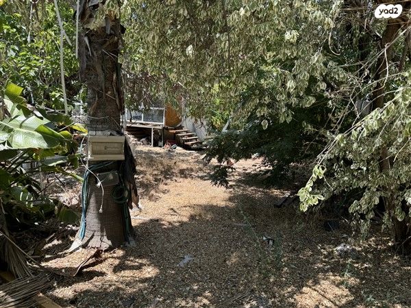 משק חקלאי/ נחלה, סביון