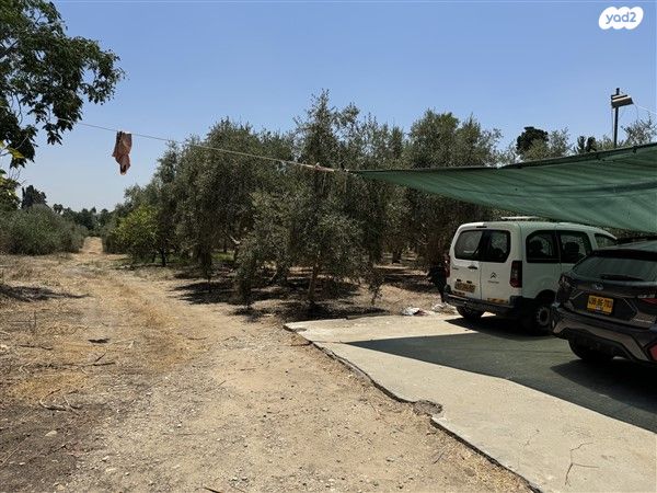 משק חקלאי/ נחלה
