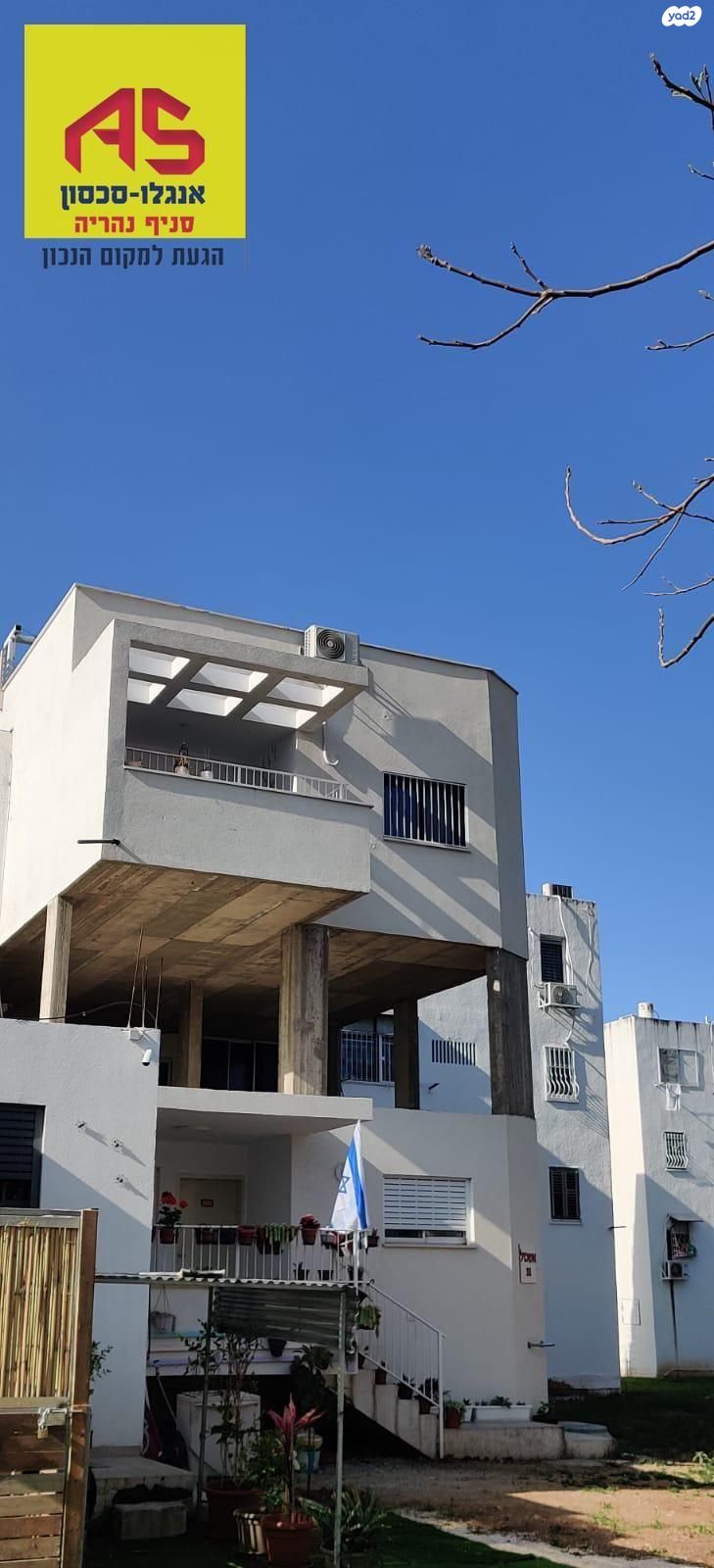 לוי אשכול 31