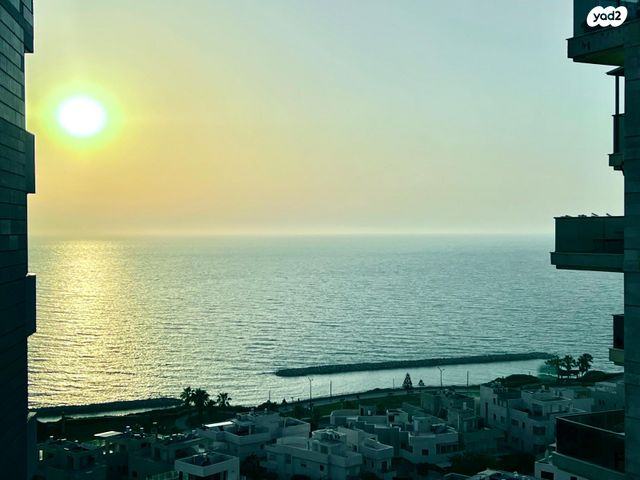 הגילה 15