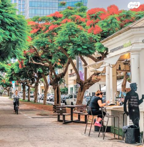 גג/ פנטהאוז, שדרות רוטשילד, לב תל אביב, לב העיר צפון, תל אביב יפו