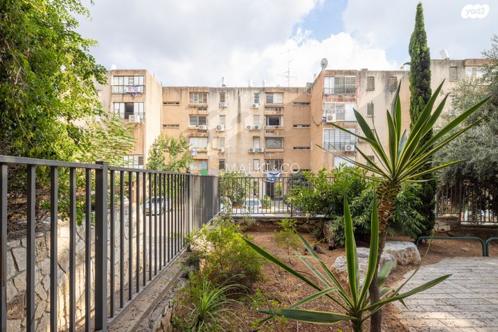 דירה, ירושלים, השומר, ראשון לציון