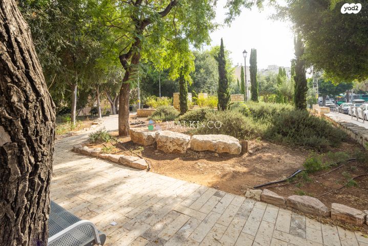 דירה, ירושלים, השומר, ראשון לציון