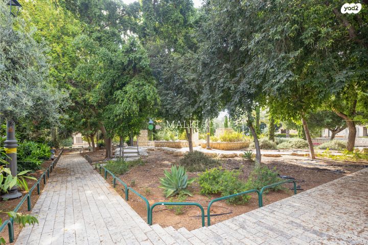 דירה, ירושלים, השומר, ראשון לציון