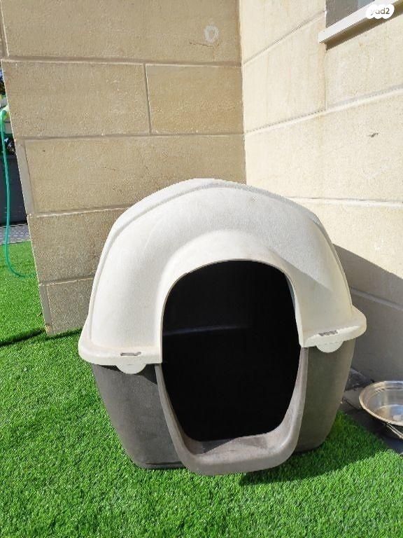 תמונת מודעה - חיות מחמד