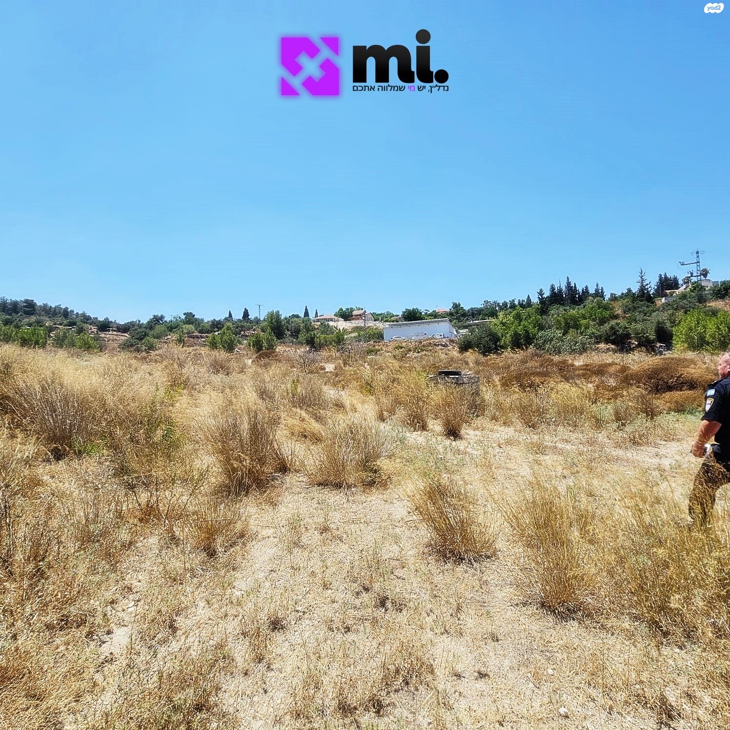 מגרשים
