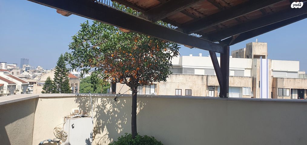 גג/ פנטהאוז, מרכז, כפר סבא