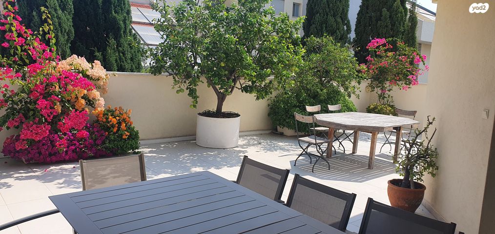 גג/ פנטהאוז, מרכז, כפר סבא