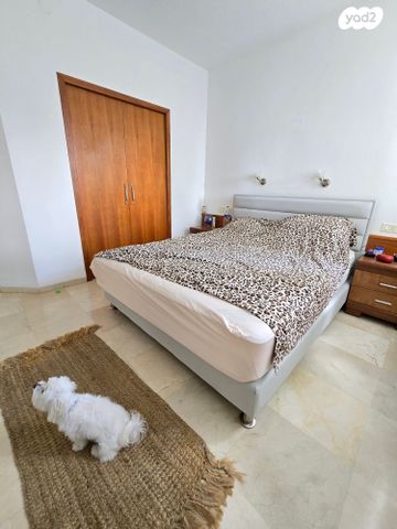 דירה, מיכ"ל, אחוזה, חיפה