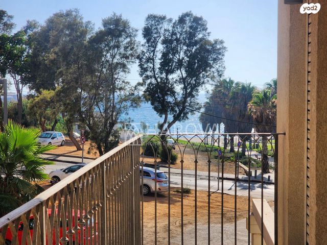 דירת גן, לוזים, עג'מי, גבעת העליה, תל אביב יפו