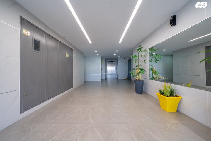 דירה, כלנית, הפרחים, חריש