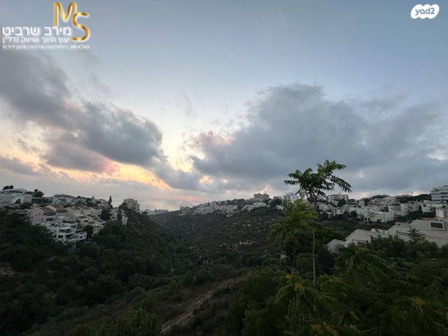 דירה, רמת אשכול, חיפה