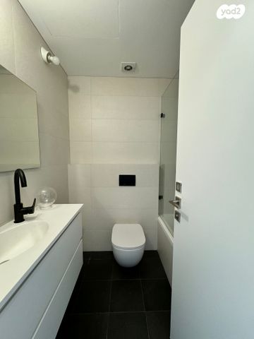 גג/ פנטהאוז, שיינקין 57, לב תל אביב, לב העיר צפון, תל אביב יפו