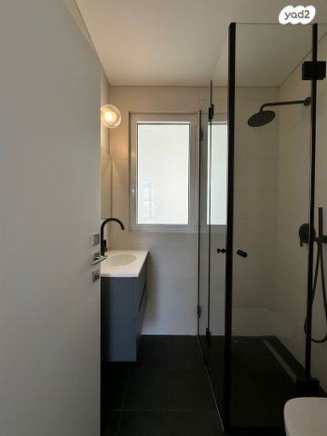 גג/ פנטהאוז, שיינקין 57, לב תל אביב, לב העיר צפון, תל אביב יפו