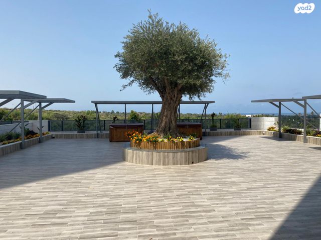 דירה, שדרות דוד בן גוריון 7, הסיטי, אשקלון