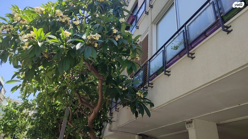 מרכז בעלי מלאכה 