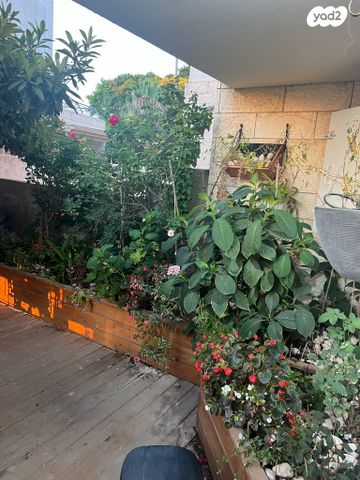 דירת גן, אלמוג, נצרת עילית / נוף הגליל