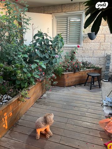 דירת גן, אלמוג, נצרת עילית / נוף הגליל