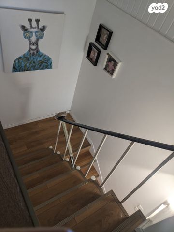 בית פרטי/ קוטג', יעקב כהן, רמת השרון