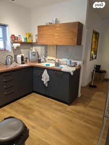 בית פרטי/ קוטג', יעקב כהן, רמת השרון