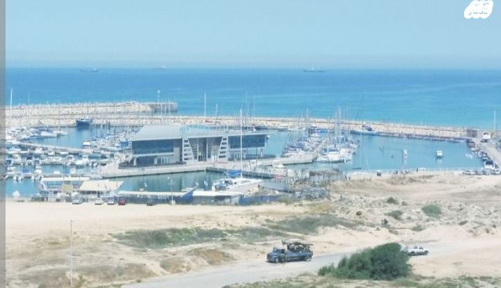 דירה, אגוז, מרינה, אשדוד