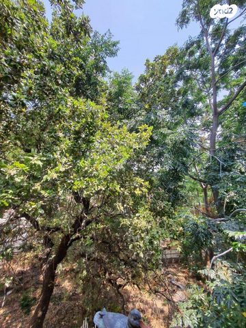 דירת גן, טבעון הוותיקה, קרית טבעון