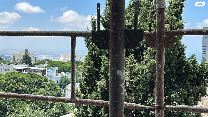 דירה, בנימין ד'ישראלי, אחוזה, חיפה