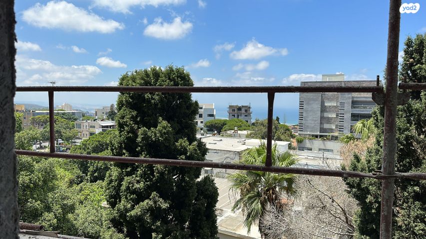 בנימין ד'ישראלי 