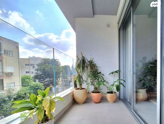 יונתן הופסי 