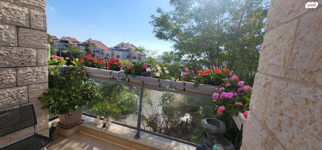 דופלקס, צור הדסה