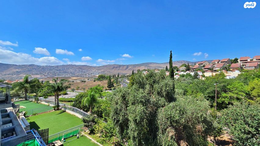 דירה, אשכולות, הגליל, כרמיאל