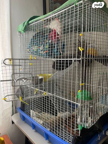 אביזרים | כלוב