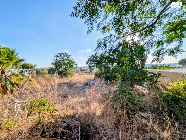 מגרשים, טירת שלום, נס ציונה