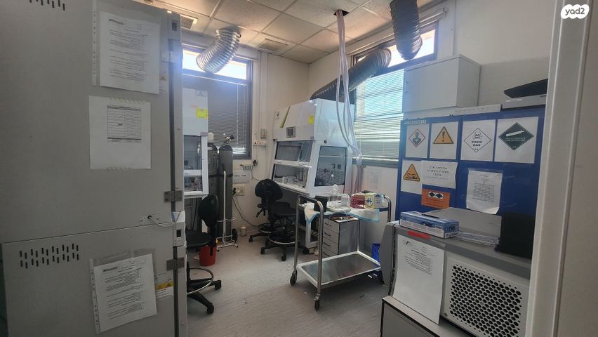 אלי הורוביץ 